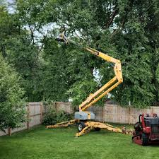 Best Arborist Consultation Services  in Lincoln University, PA