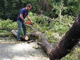 Best Fruit Tree Pruning  in Lincoln University, PA